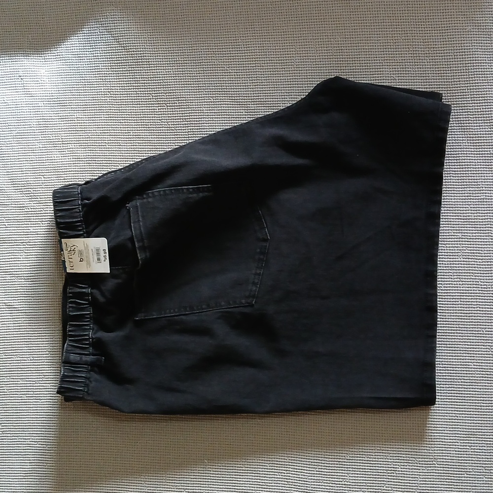Terra & Sky Women's 4X Elastic Back Shorts